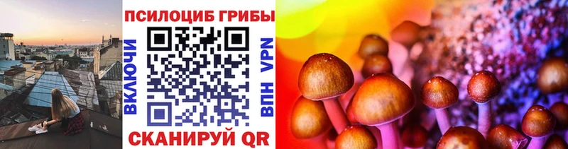 как найти наркотики  Сысерть  MEGA онион  Псилоцибиновые грибы Magic Shrooms 